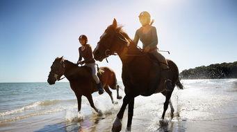 网红骑马爆料视频播放下载,播放下载量惊人! 第3张 网红骑马爆料视频播放下载,播放下载量惊人! 第3张