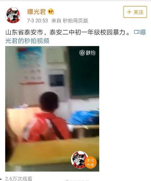 山东最新爆料事件视频大全,揭秘多起社会热点瞬间  第2张